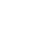 brain